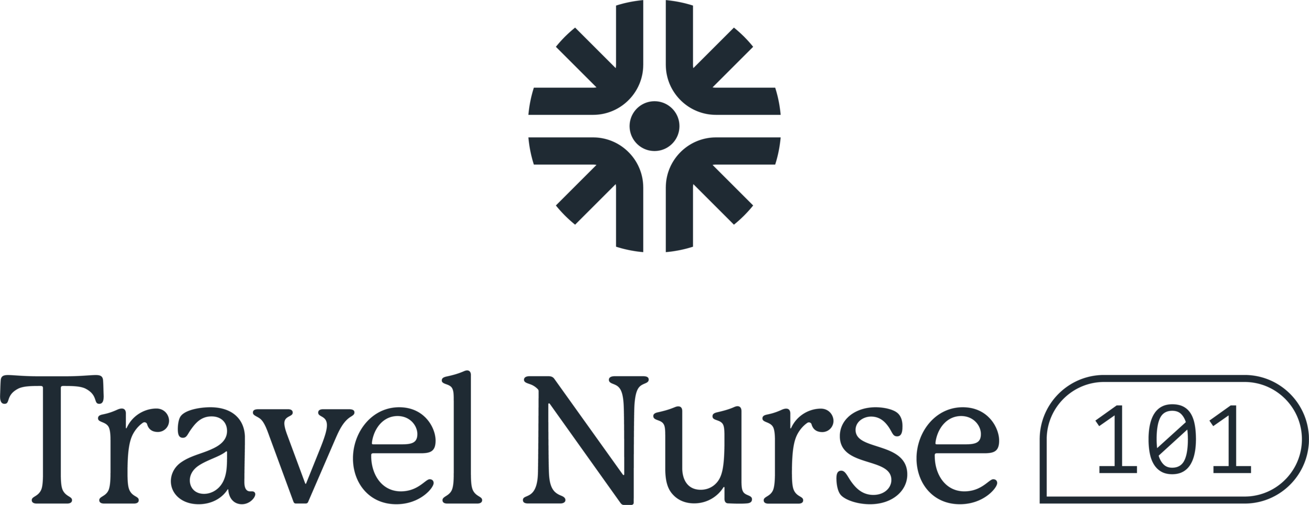Travel Nurse 101